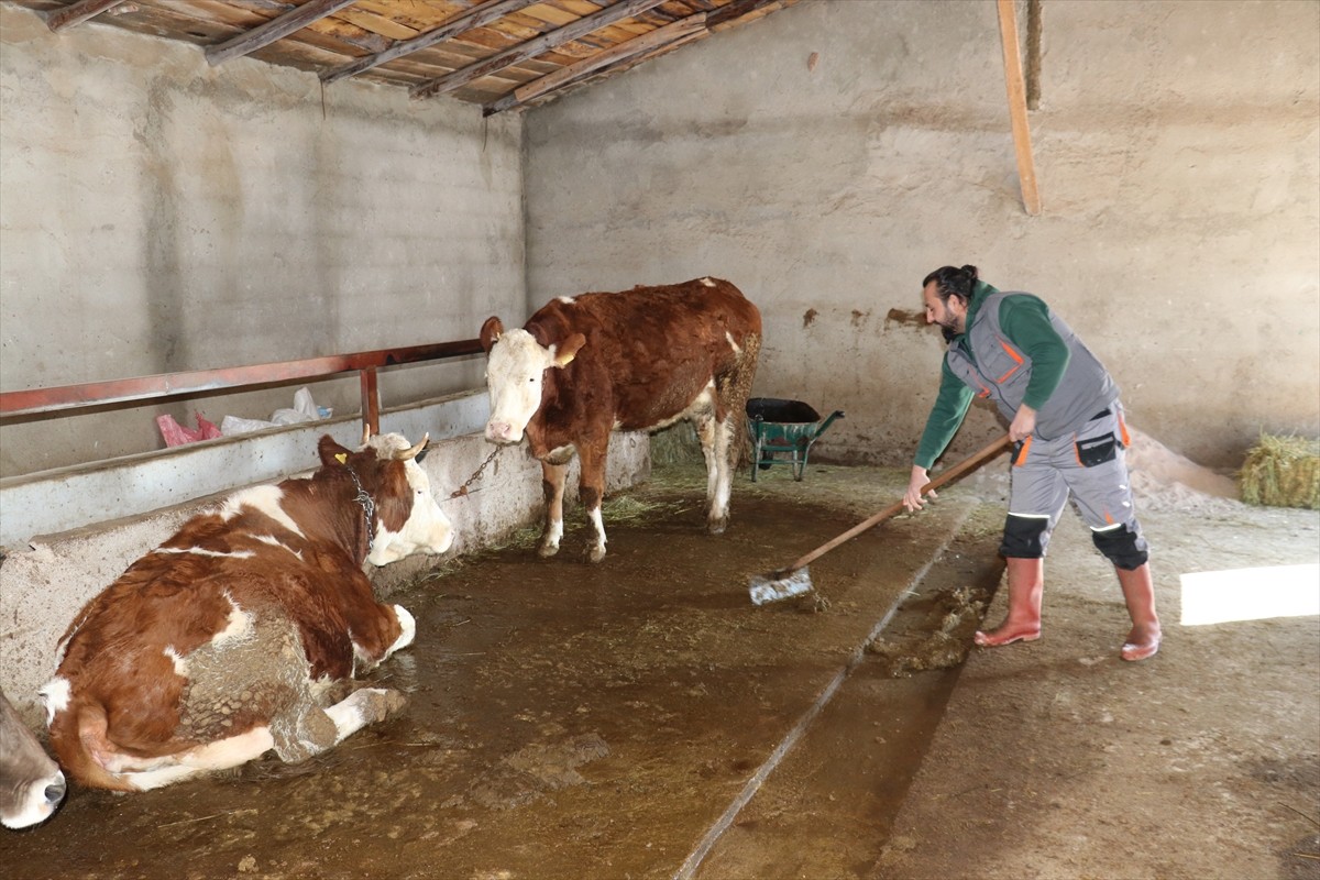 Doğup büyüdüğü İzmir'de şehir hayatından sıkılan 33 yaşındaki maliyet kontrol uzmanı Berkan...