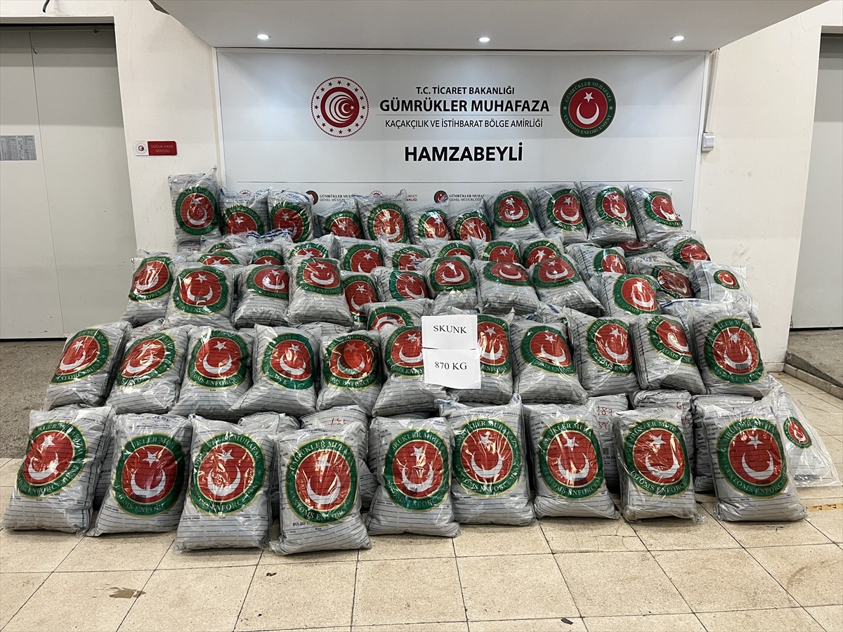 Edirne'de, Hamzabeyli Sınır Kapısı'nda bir tırda 870 kilogram skunk ele geçirildi, olayla ilgili 2...