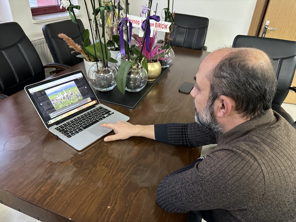 Erzurum'da, Atatürk Üniversitesi İletişim Fakültesi akademisyenleri, Anadolu Ajansının (AA)...