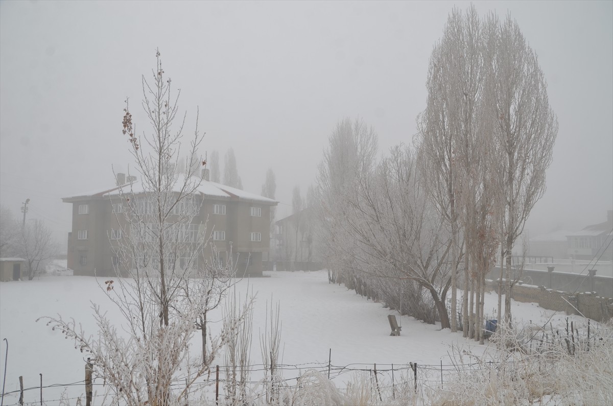 Hakkari'nin Yüksekova ilçesinde soğuk hava ve sis etkili oldu.