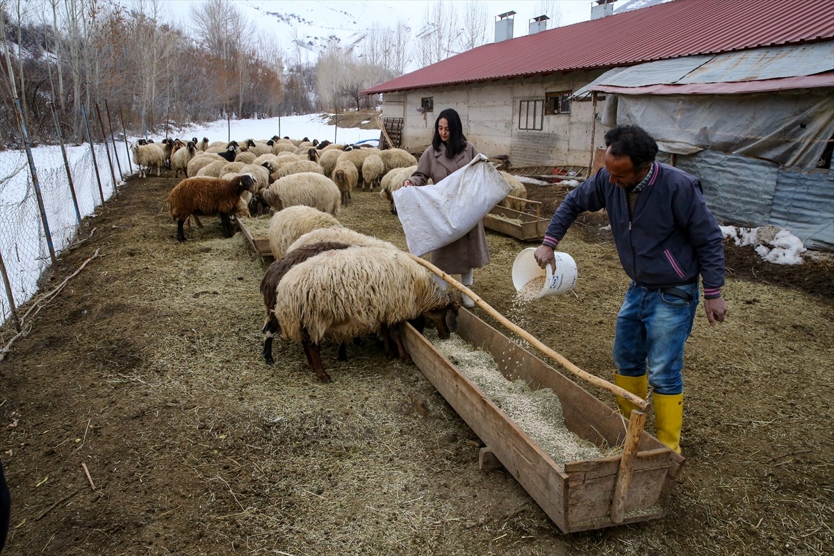 Hatay Mustafa Kemal Üniversitesi Ziraat Fakültesi Gıda Mühendisliği Bölümü'nden 2019'da mezun olan...