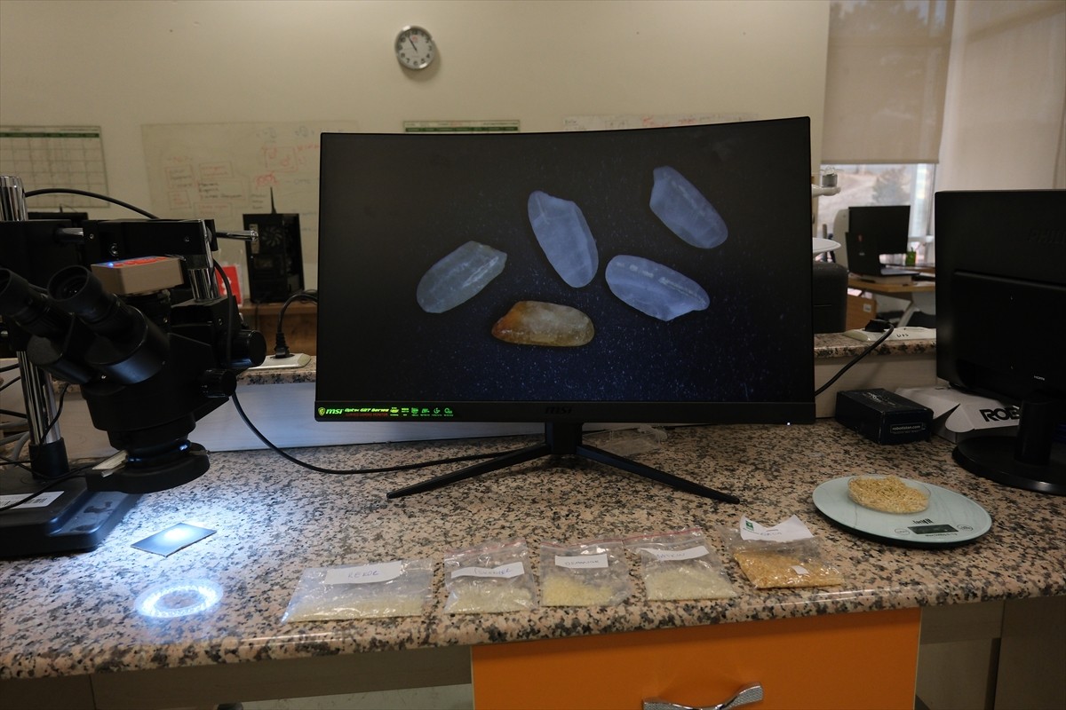 Hitit Üniversitesinde geliştirilen yapay zeka destekli yazılımla, pirinç türleri yüzde 95 doğruluk...