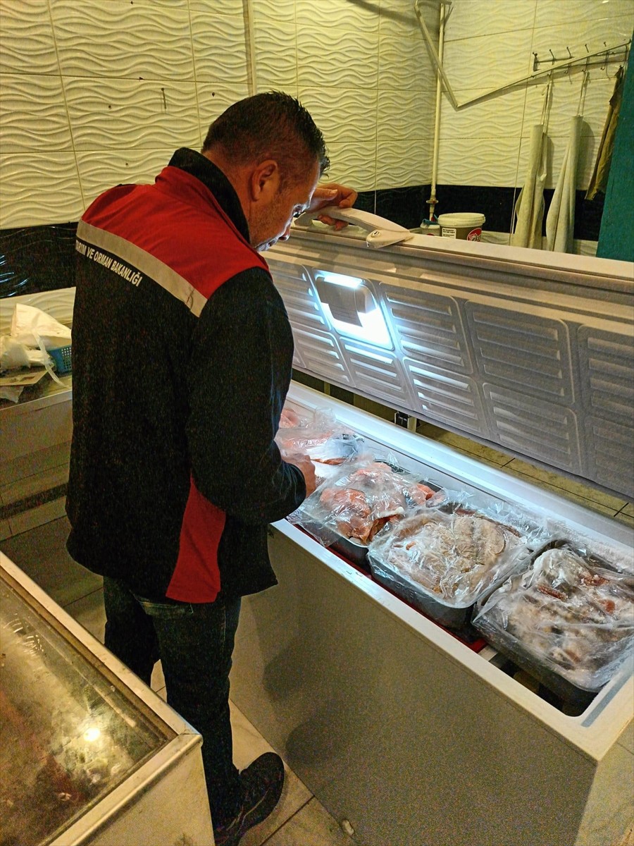 İzmir'in Konak ilçesinde kaçak ve bozuk 2,8 ton kırmızı et ve 1 ton balık ele geçirildi. 