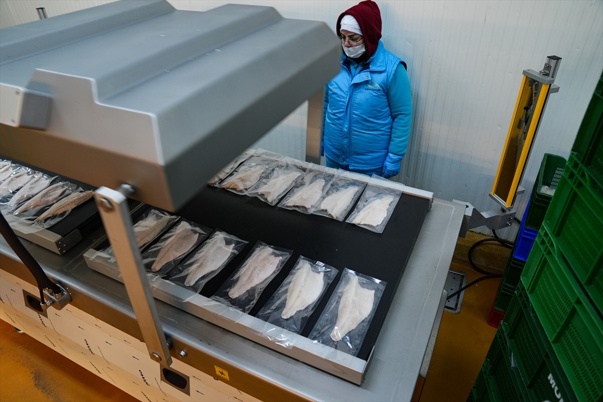 İzmir Su Ürünleri Yetiştiricileri ve Üreticileri Birliği Başkanı Ufuk Atakan Demir, Türkiye'nin...