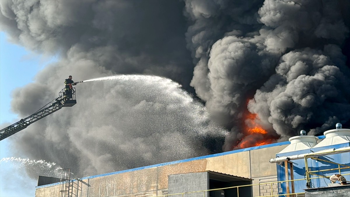 Kırklareli'nin Lüleburgaz ilçesinde, oyuncak fabrikasında çıkan yangına müdahale ediliyor. İhbar...