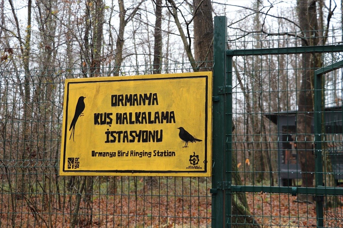 Kocaeli'deki Ormanya Doğal Yaşam Parkı'nda kuş türlerinin belirlenmesi, göç rotaları ve...