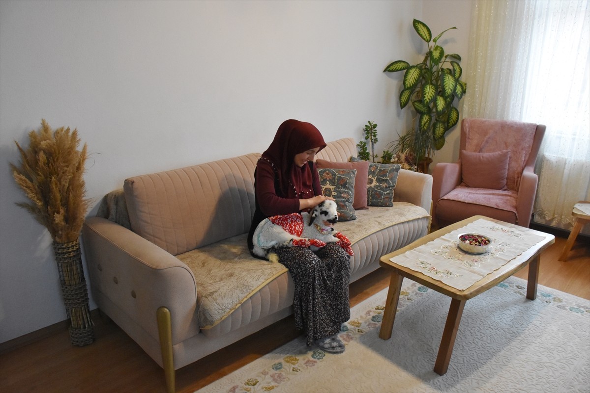  Ordu'nun Altınordu ilçesinde yaşayan ev hanımı Yasemin Koç, annesi emzirmediği için evine aldığı...