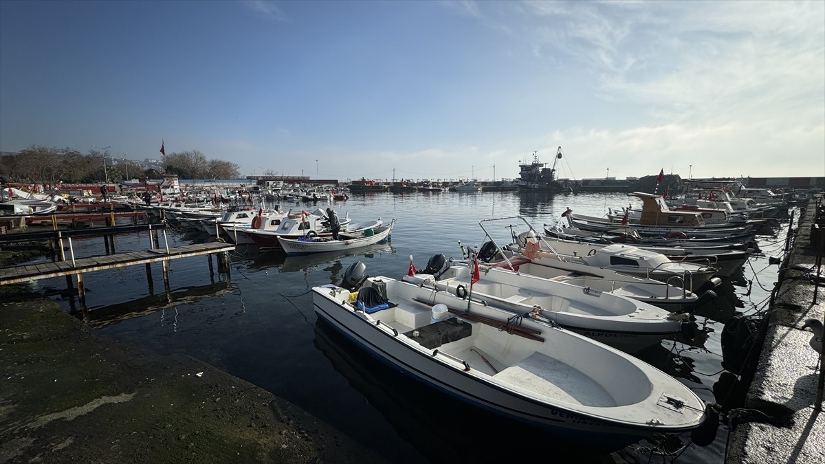 Tekirdağ'da 4 gündür süren poyrazın etkisini yitirmesiyle deniz ulaşımı normale döndü.