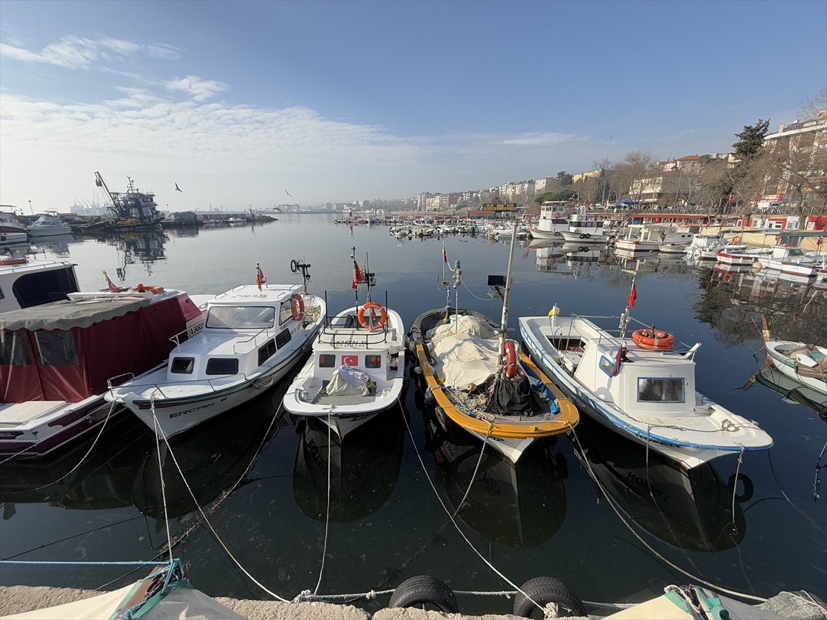Tekirdağ'da küçük tekne balıkçıları, bu gece av yasağının sona ermesiyle Marmara Denizi'ne karides...