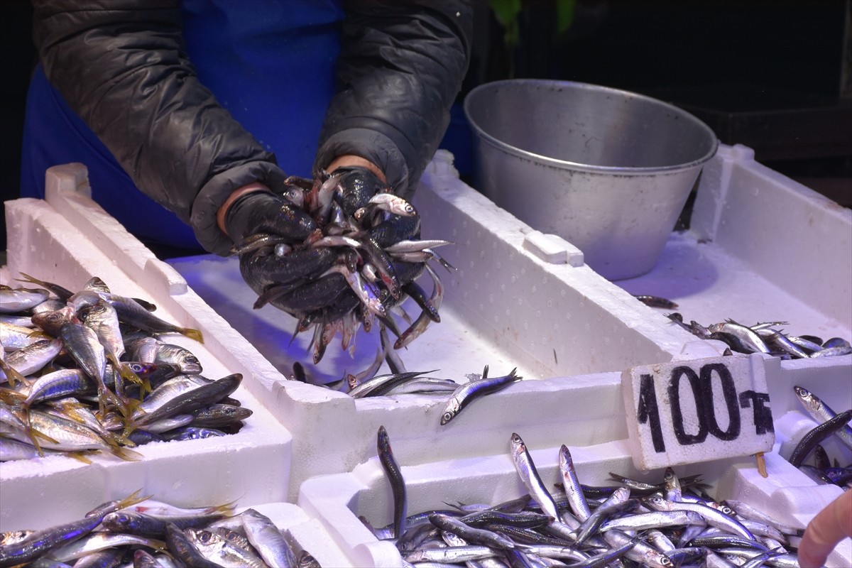 Trabzon'un Ortahisar ilçesinin Moloz mevkisindeki tezgahlarda, başta hamsi olmak üzere mezgit...