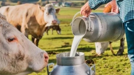 Tüm ülkeye yarayacak destek Muş'dan duyuruldu! Üreticilere 24 milyonluk yatırım