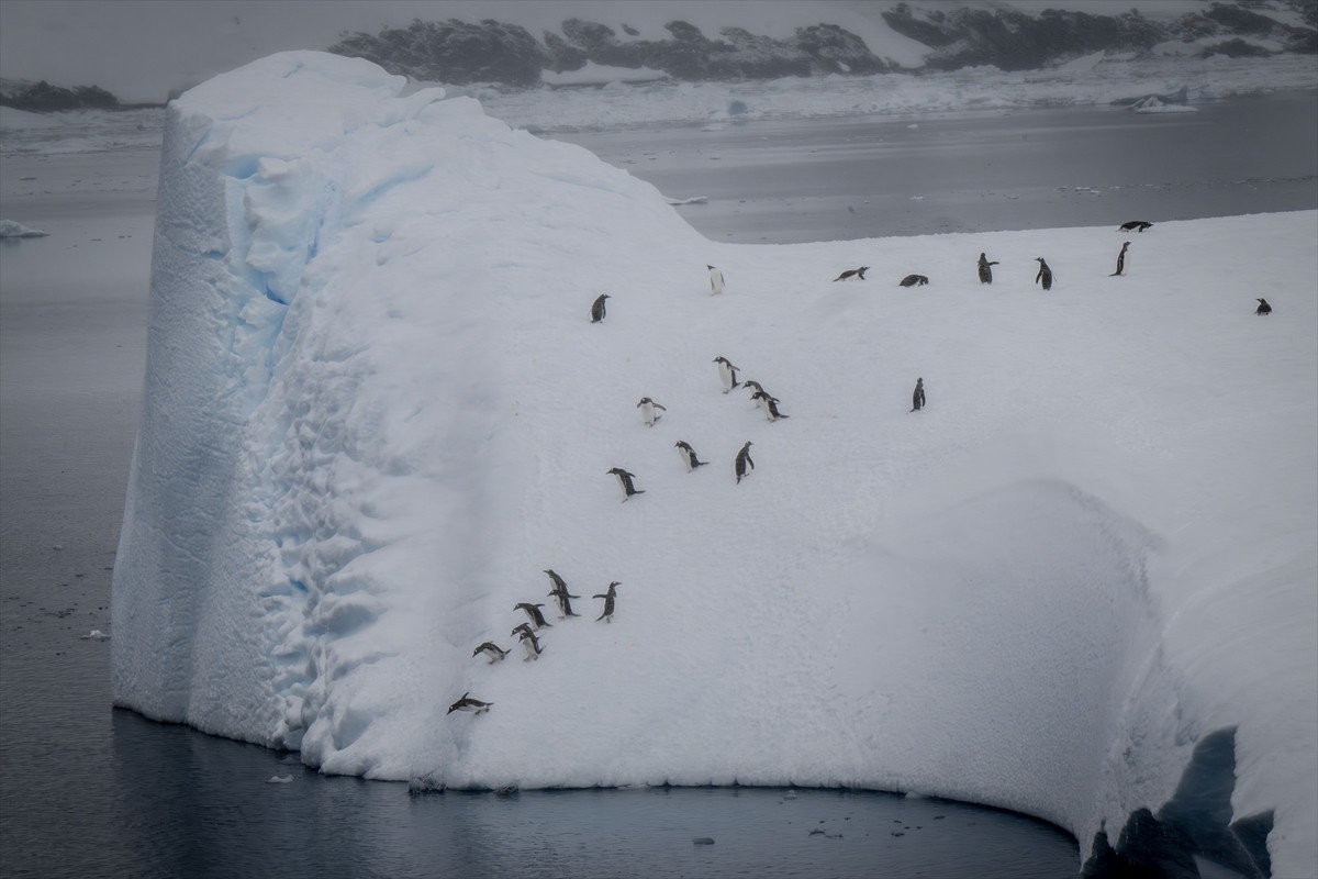 9.Ulusal Antartkika Bilim Seferi, Cumhurbaşkanlığı himayelerinde, Sanayi ve Teknoloji Bakanlığı...