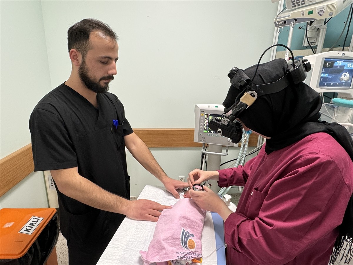 Ağrı'da 25 haftalık dünyaya gelen ve ambulans uçakla Malatya'ya getirilen Ayaz bebeğin tedavisi...