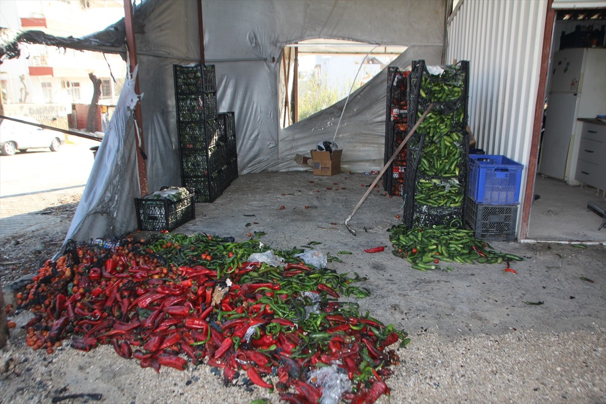 Antalya'nın Serik ilçesinde toptancı halindeki meyve sebze deposu, bir kişi tarafından...