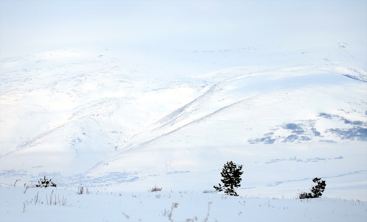 Ardahan Yalnızçam Kayak Merkezi'nde gece hava sıcaklığı sıfırın altında 21 derece kaydedildi....