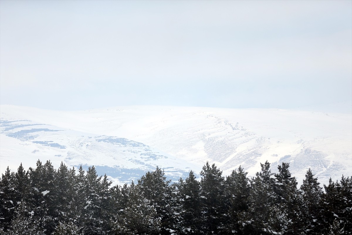 Ardahan Yalnızçam Kayak Merkezi'nde gece hava sıcaklığı sıfırın altında 21 derece kaydedildi....
