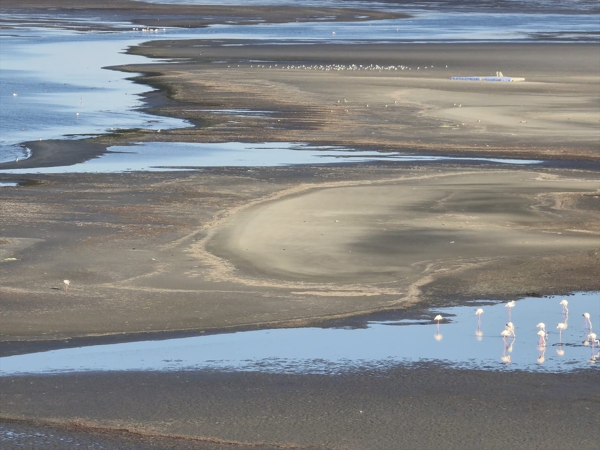 Aydın'ın Didim ilçesinde deniz suyu kıyıdan çekildi. Çekilmenin olduğu yerlerde bataklık ve...