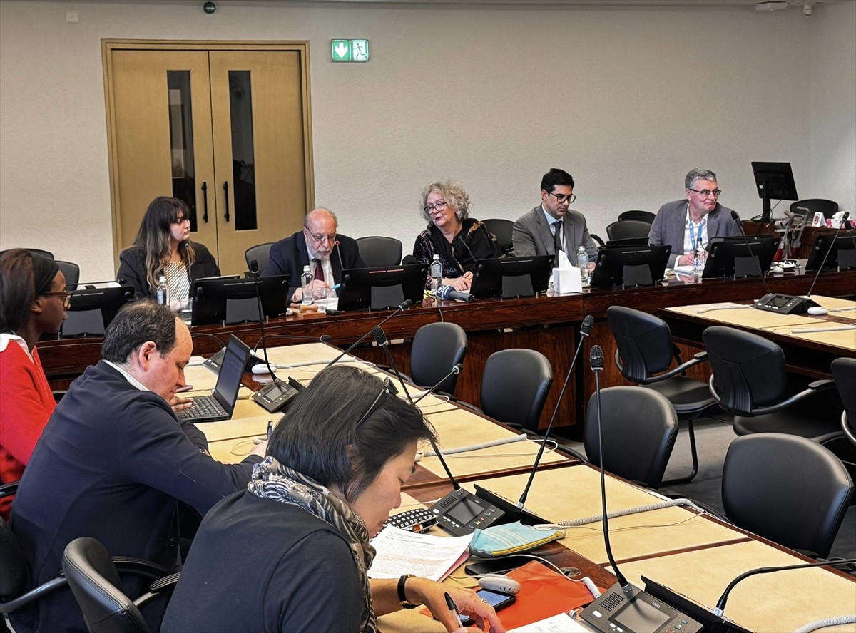 Birleşmiş Milletler (BM) Uluslararası Bağımsız Suriye Araştırma Komisyonu Üyesi Hanny Megally...