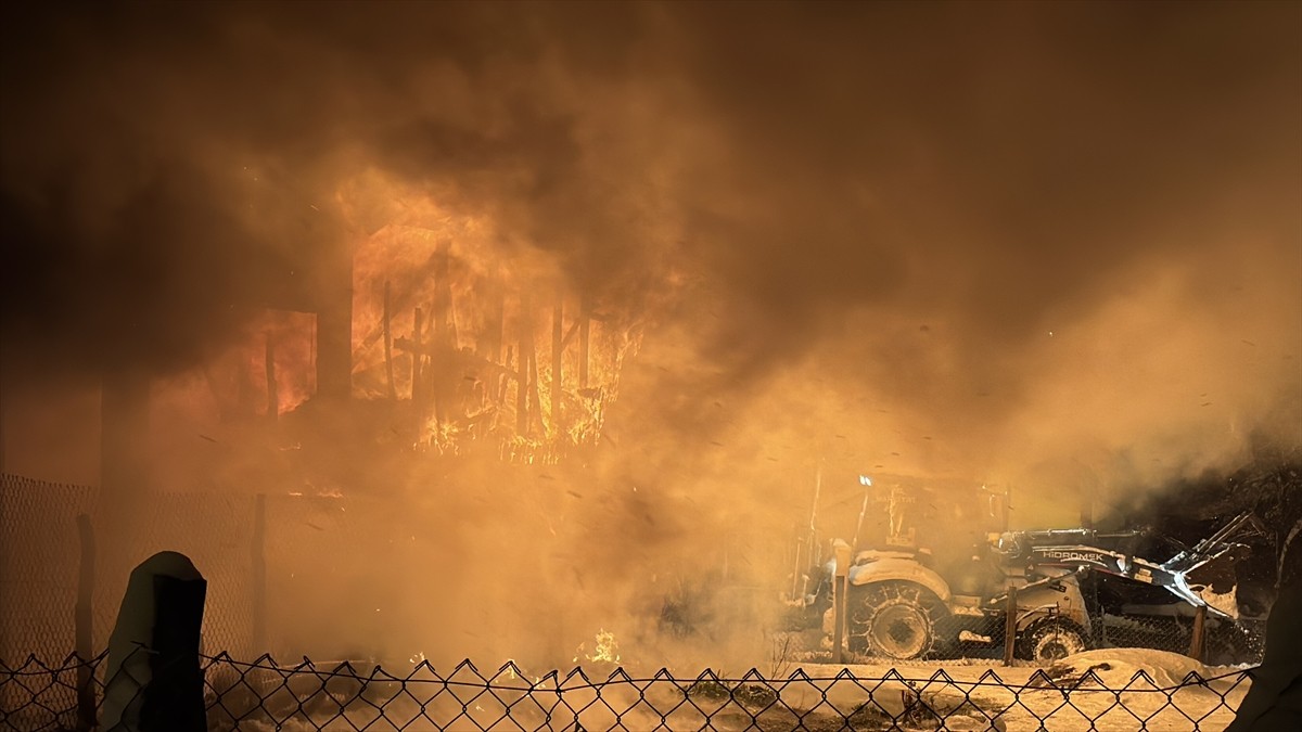 Bolu'da çıkan yangında bir odunluk kullanılamaz hale geldi, iki katlı ev zarar gördü. Olay yerine...