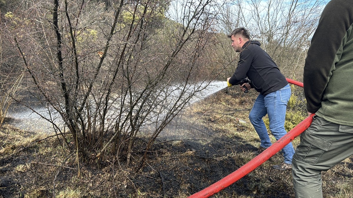 Bolu'nun Göynük ilçesinde ormanlık alanda çıkan örtü yangını söndürüldü.