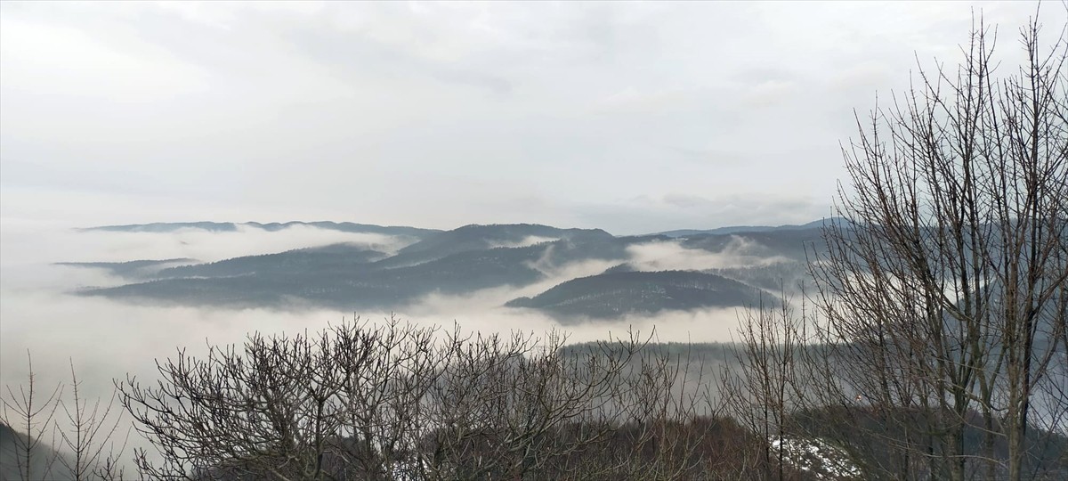 Bolu Dağı'nda akşam saatlerinde sis etkili oldu.