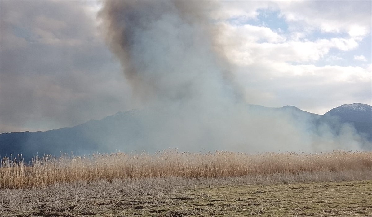 Burdur'un Gölhisar ilçesinde sazlık alanda çıkan yangına itfaiye ekiplerince müdahale...