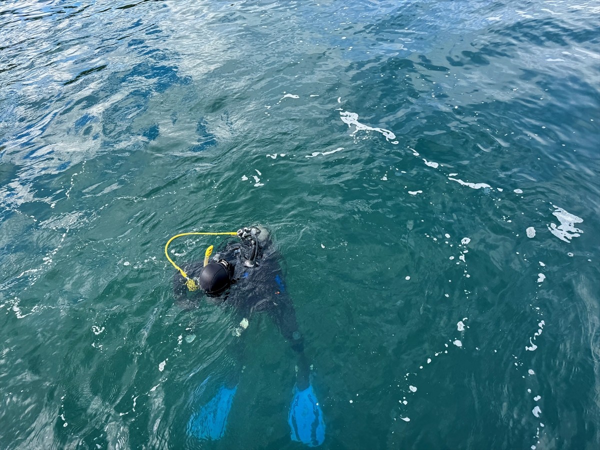 Bursa'nın Gemlik ilçesinin Harmankaya mevkisinden Marmara Denizi'ne dalış yapan dalgıçlar, 18...
