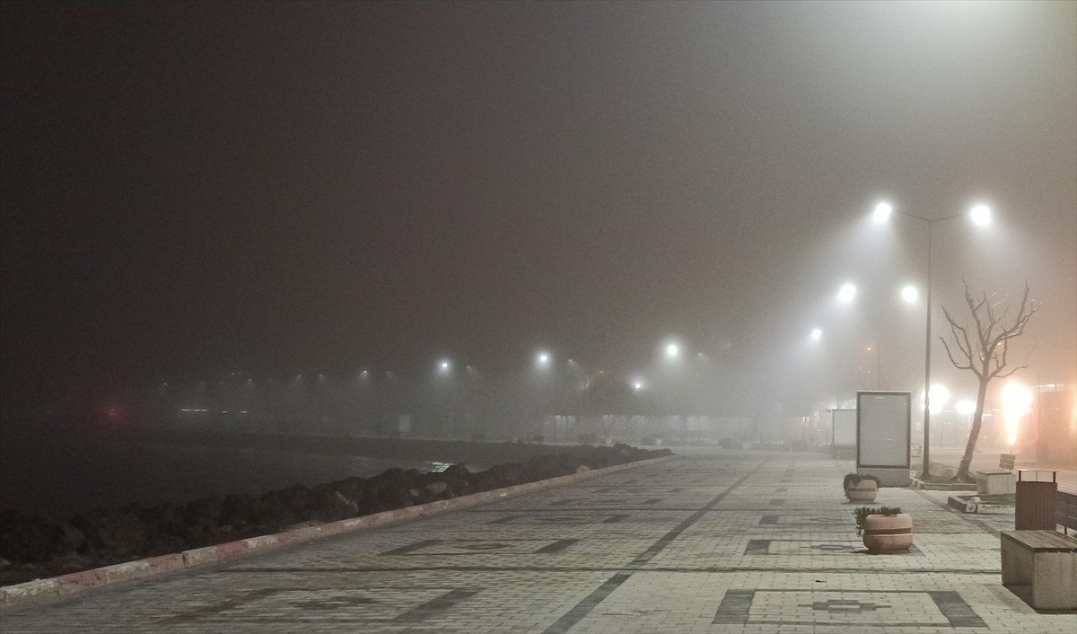 Çanakkale'de Lapseki-Gelibolu hattındaki feribot seferleri sis nedeniyle geçici olarak...