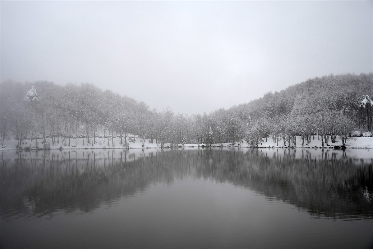 Düzce'nin Kaynaşlı ilçesinde kar yağışının ardından beyaza bürünen Korugöl Tabiat Parkı'nda güzel...