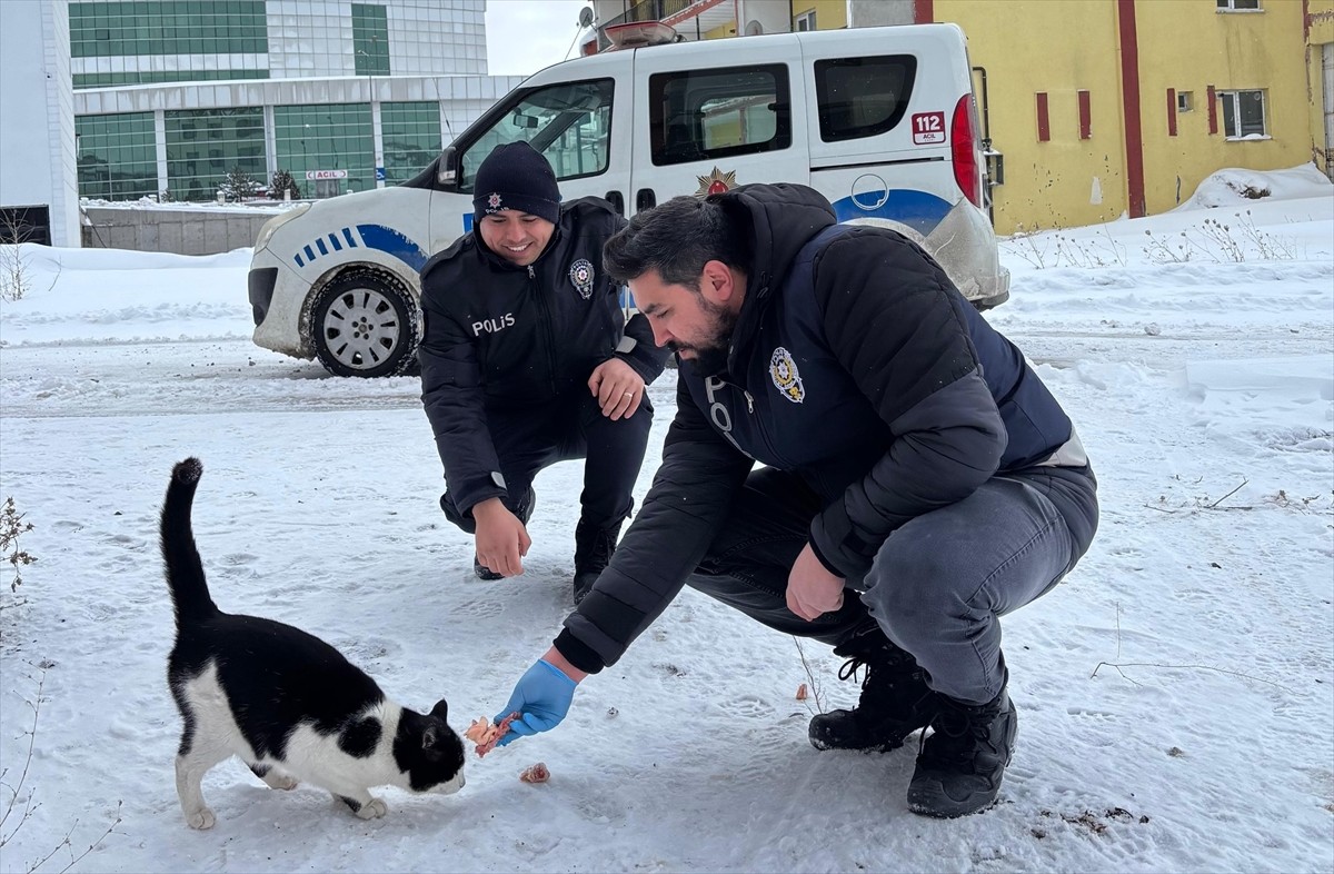 Erzincan'da polis ekipleri, olumsuz hava koşullarında sahipsiz hayvanların aç kalmaması için...