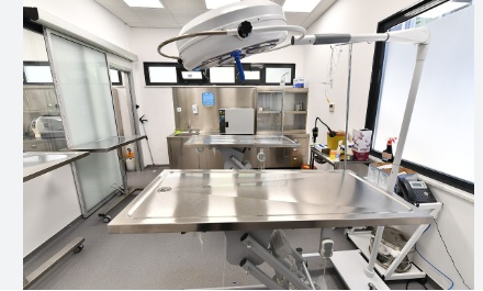 İstanbul'da devreye girdi! Bugün itibari ile bedava sağlık hizmeti alınacak