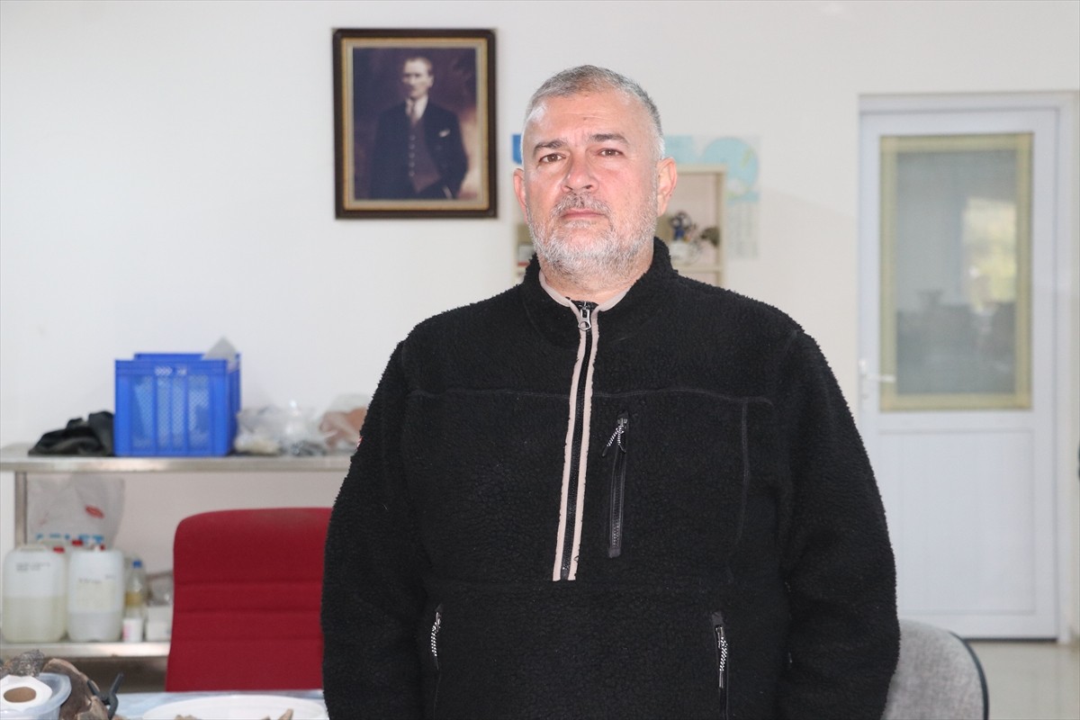 İzmir'in Çeşme ilçesindeki Bağlararası'nda 2009-2019 yıllarındaki kazılarda elde edilen bulgular...