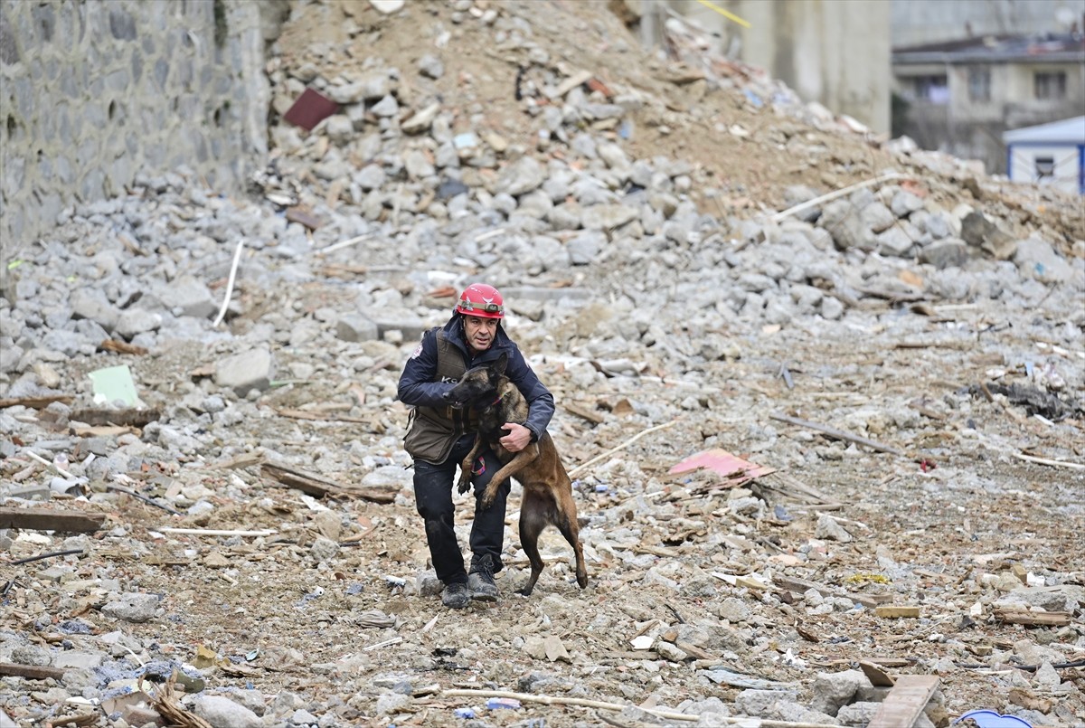 Kahramanmaraş merkezli depremlerde arama-kurtarma köpeği Şilan'ın verdiği tepkiyle afetin 67....