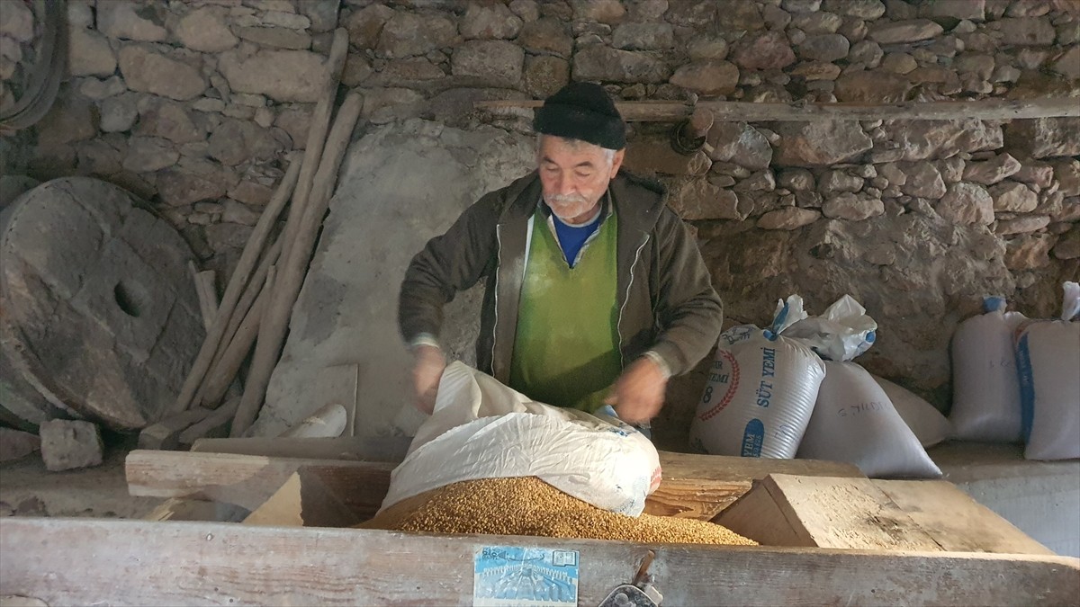 Manisa'nın Demirci ilçesindeki yaklaşık 200 yıllık su değirmeni, üzerinde kurulu olduğu derede su...