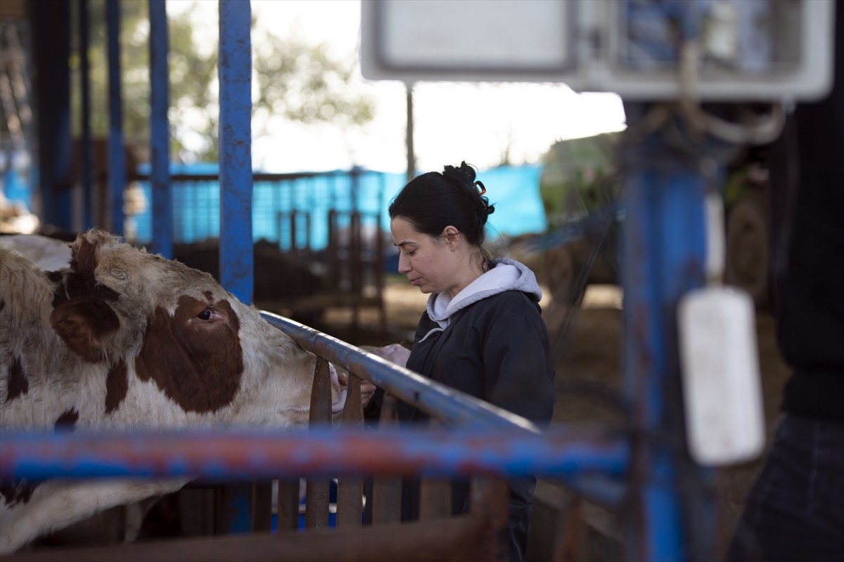 Metropollerdeki iş yaşamında aradığını bulamayan 34 yaşındaki Aydan İşci, Aydın'ın İncirliova...