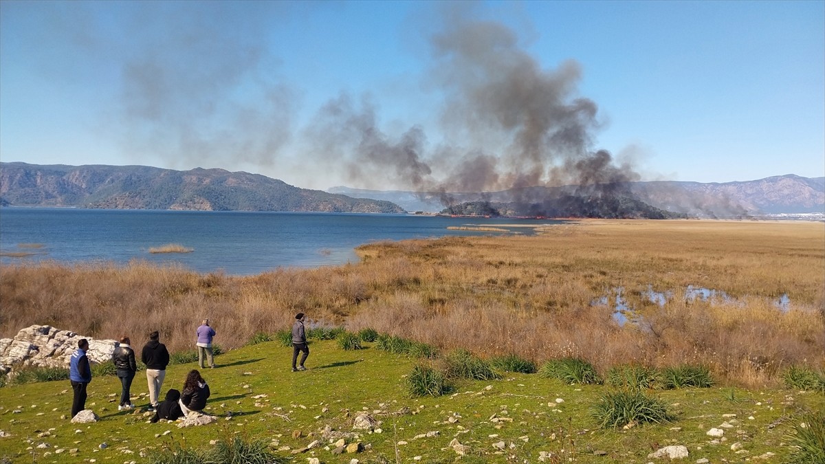 Muğla'nın Köyceğiz ilçesinde göldeki sazlık alanda yangın çıktı. Köyceğiz Gölü yakınındaki Gedova...