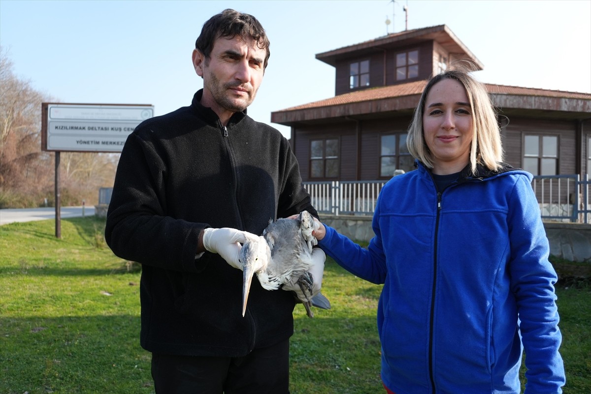 Samsun'da Yabani Hayvanlar İlk Yardım Ünitesi'nde 7 ayda 120 yabani hayvan tedavi edilerek doğaya...