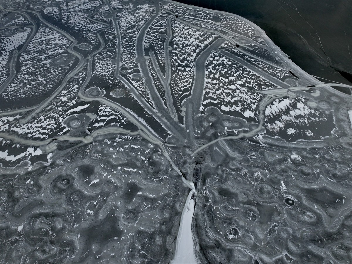 Samsun'un Ladik ilçesinde yer alan ve pek çok kuş türüne ev sahipliği yapan Ladik Gölü'nün büyük...