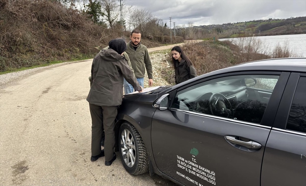 Sinop’ta, yasa dışı gece avcılığı yaptıkları tespit edilen 10 kişiye idari para cezası...