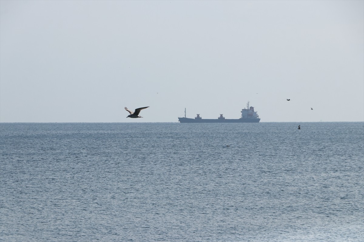 Tekirdağ'da bir haftadır süren poyrazın etkisini yitirmesiyle deniz ulaşımı normale döndü....
