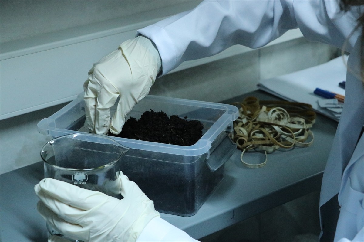 Tekirdağ'da doğayı korumak ve tarım topraklarını zenginleştirmek için harekete geçen üniversite...