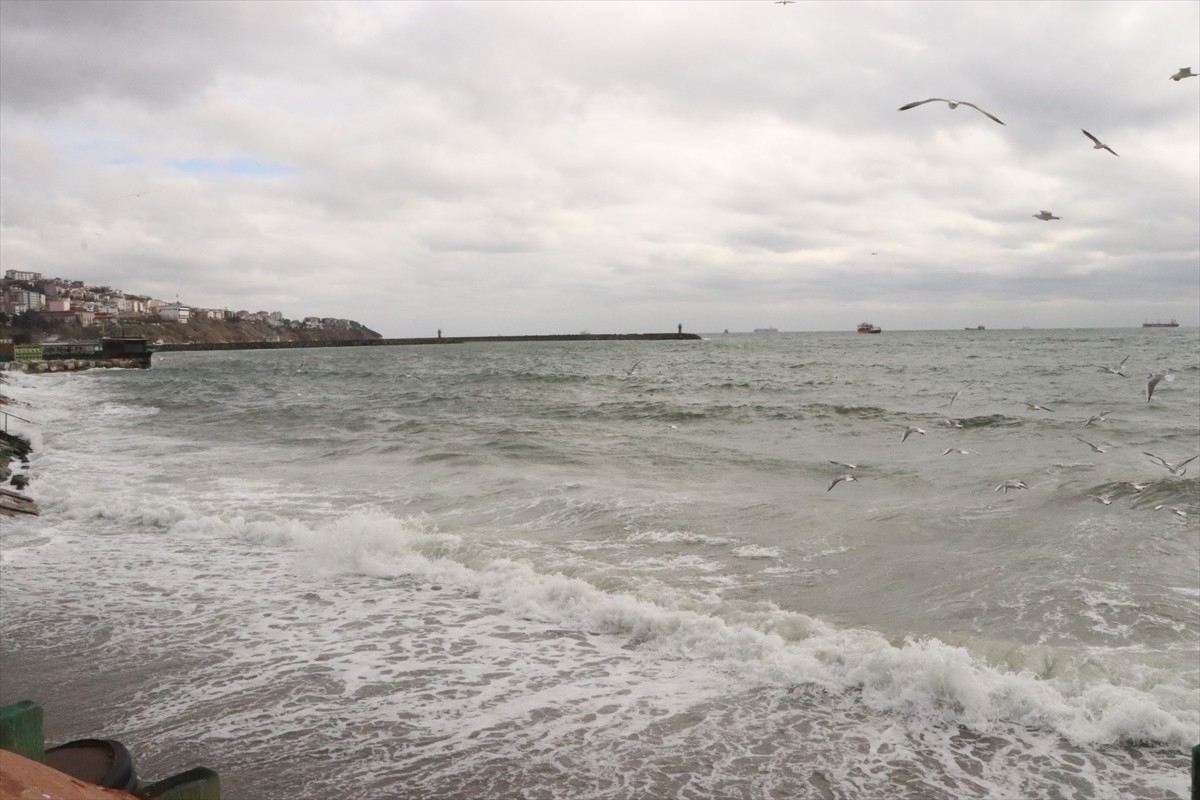 Tekirdağ'da poyraz, deniz ulaşımını olumsuz etkiledi.
