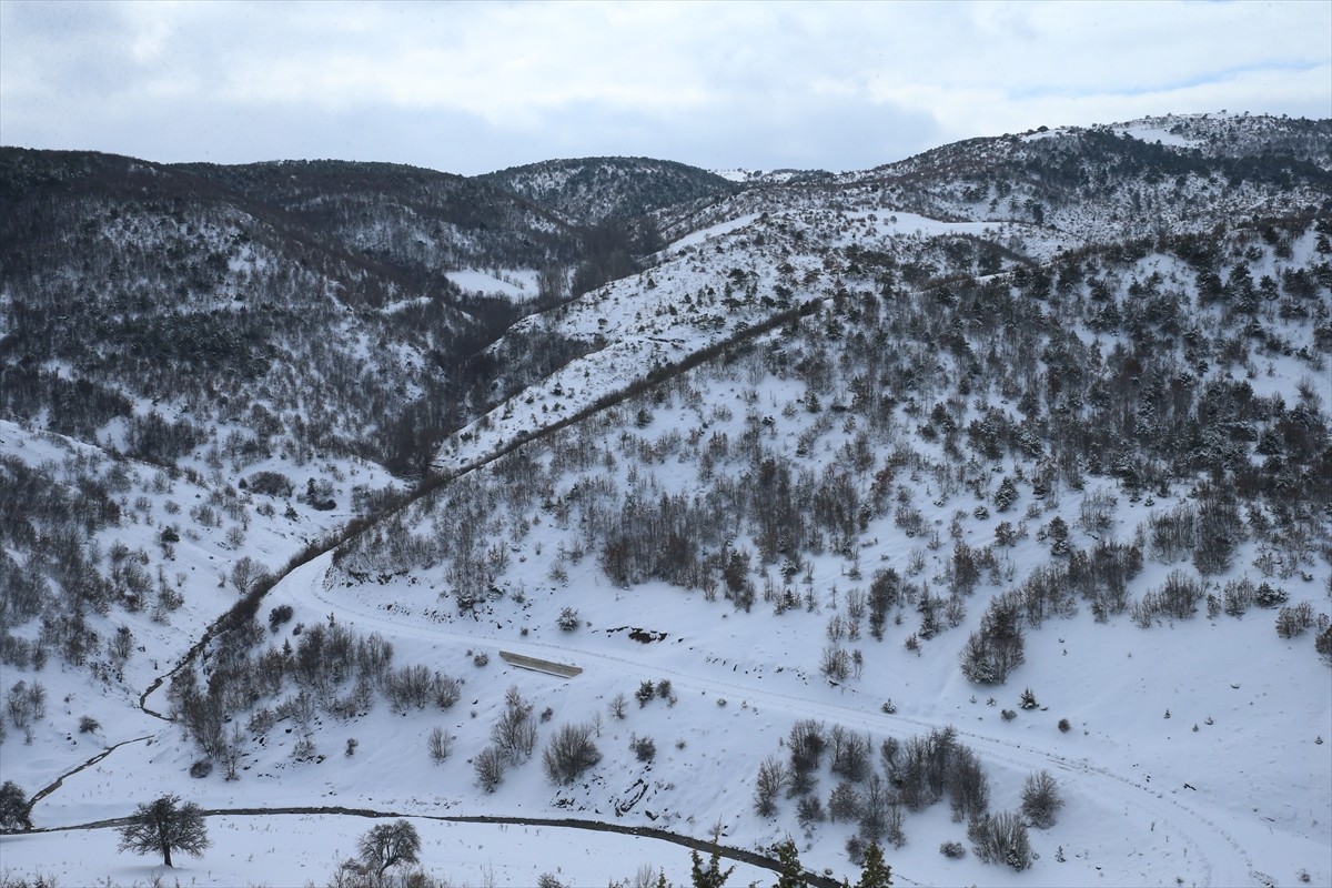 Tokat'ta kent genelinde kar yağışı etkili oldu. Yeşilyurt ilçesinde de kar yağışı etkisini...