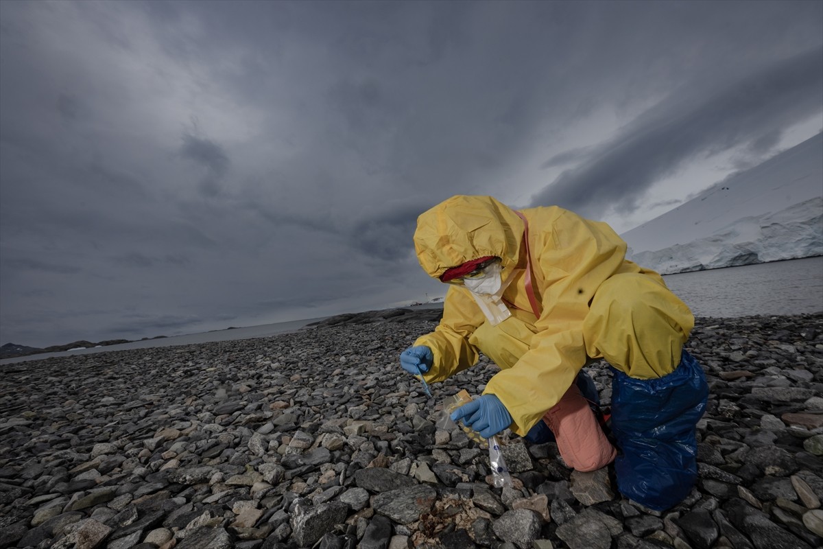 Türk bilim insanları, 9. Ulusal Antarktika Bilim Seferi kapsamında ulusal ve uluslararası boyutta...