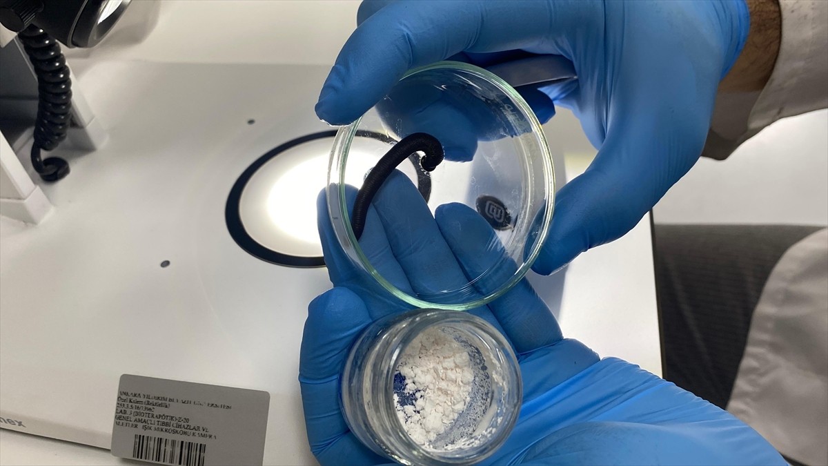  Türk bilim insanları tıbbi sülük salgısındaki doğal bileşenlerin biyoteknolojik ilaç adayı olarak...