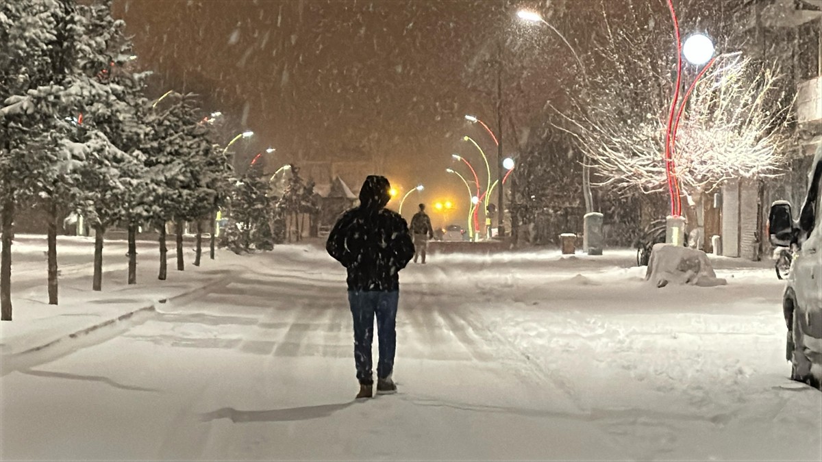 Van'ın Muradiye ilçesinde kar etkili oldu. 