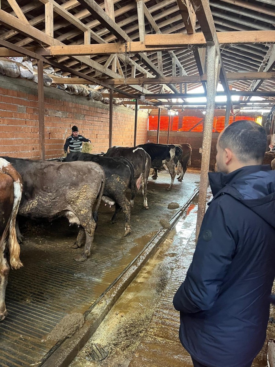 Zonguldak'ın Karadeniz Ereğli ilçesinde şap hastalığı şüphesiyle bir köyde karantina başlatıldı....