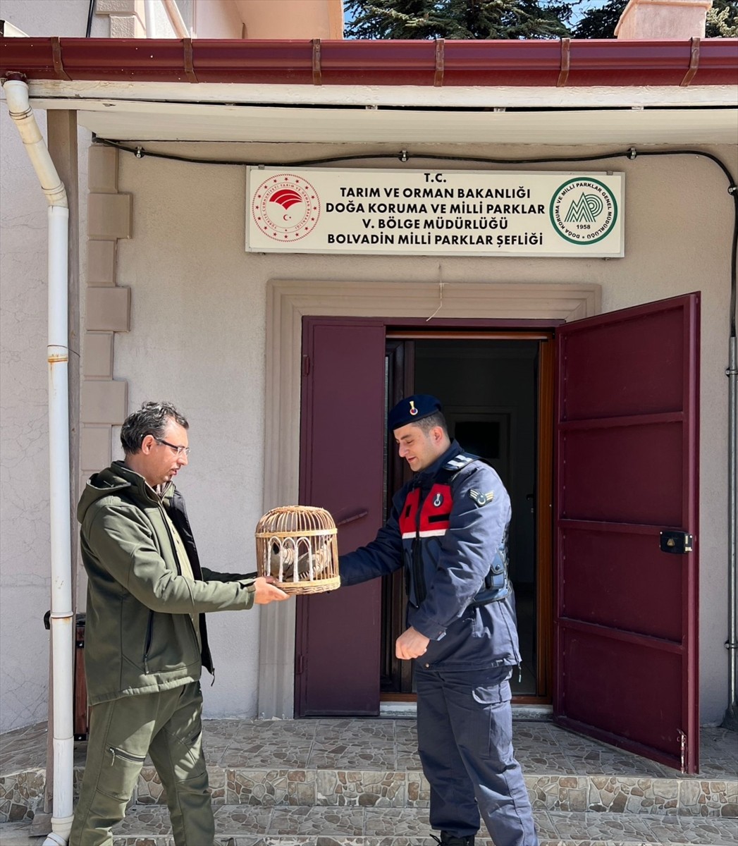 Afyonkarahisar'ın Bolvadin ilçesinde keklik avlayan 3 kişiye 74 bin 568 lira ceza...