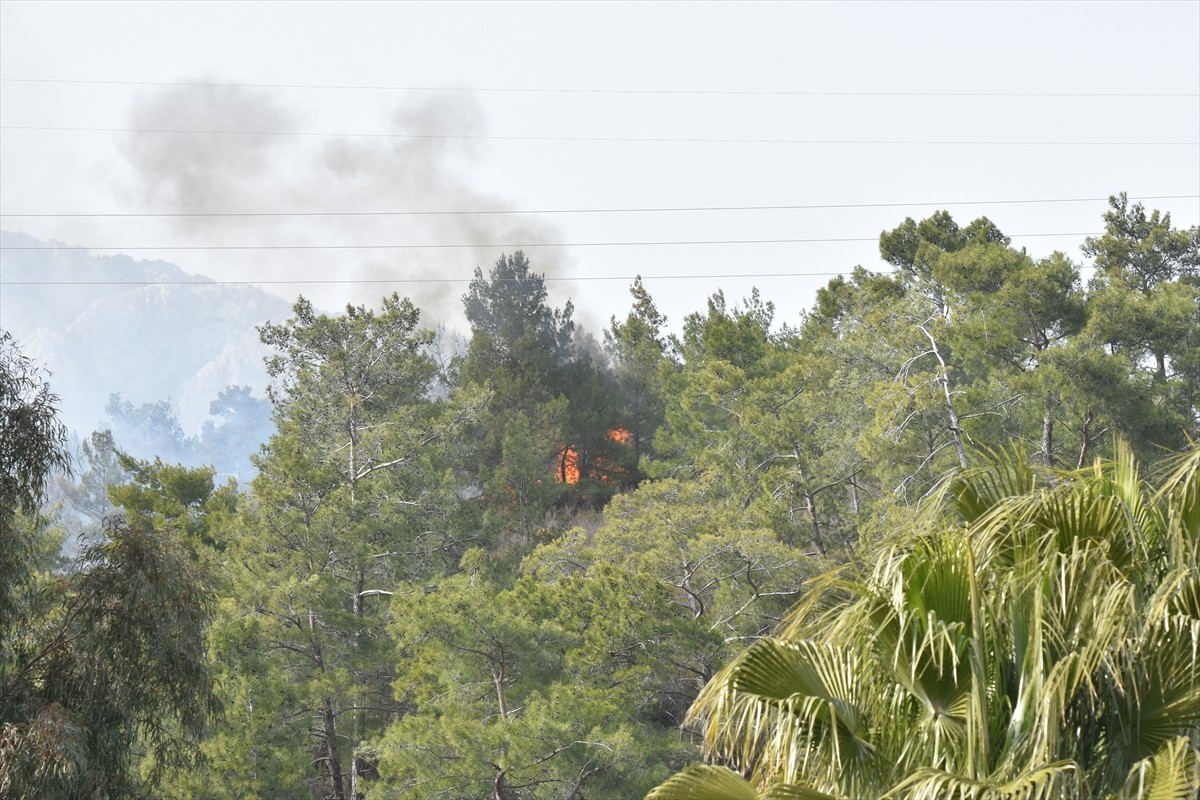Antalya'nın Kemer ilçesinde ormanlık alanda çıkan yangın ekiplerin müdahalesiyle kontrol altına...