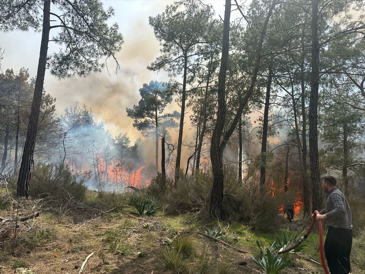 Antalya'nın Kemer ilçesinde ormanlık alanda çıkan yangına itfaiye ekipleri müdahale ediyor.